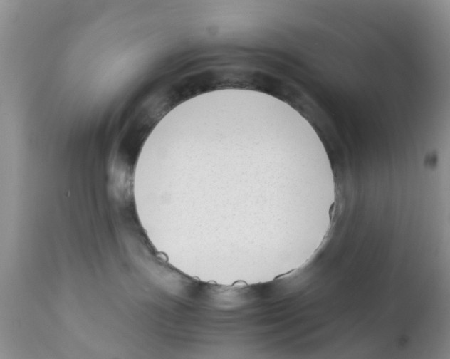 X0000111630191200908141352