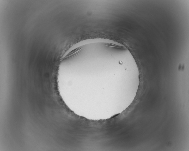 X0000111630192200908141352