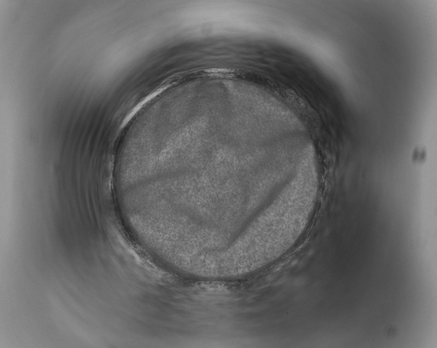 X0000111630194200908141351