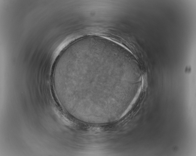 X0000111630195200908141351