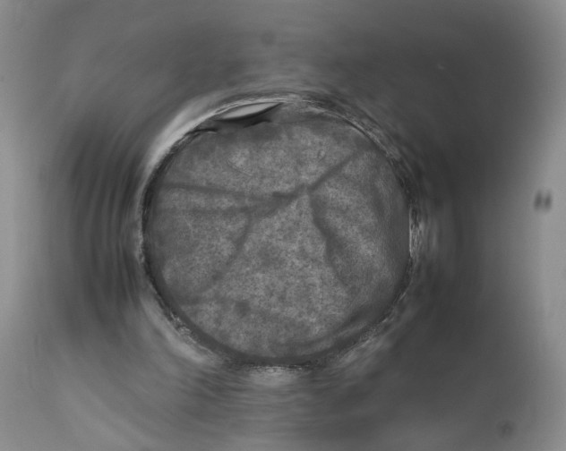 X0000111630198200908141351