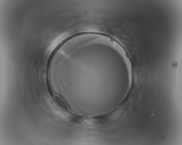 X0000111630199200908141351