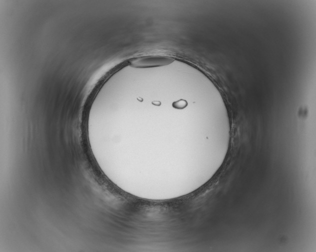 X0000111630200200908141351
