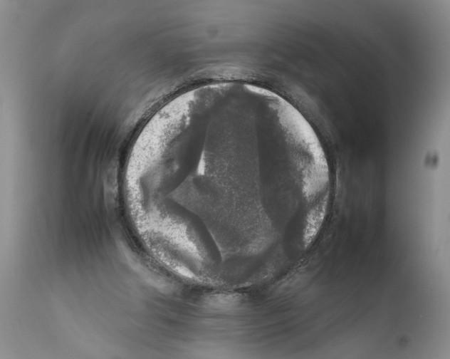 X0000111630202200908141351