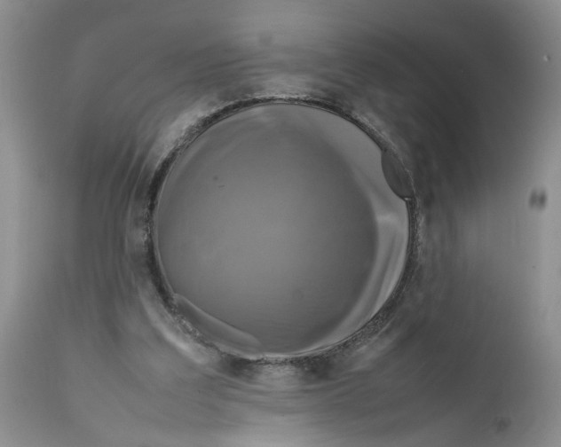 X0000111630203200908141351