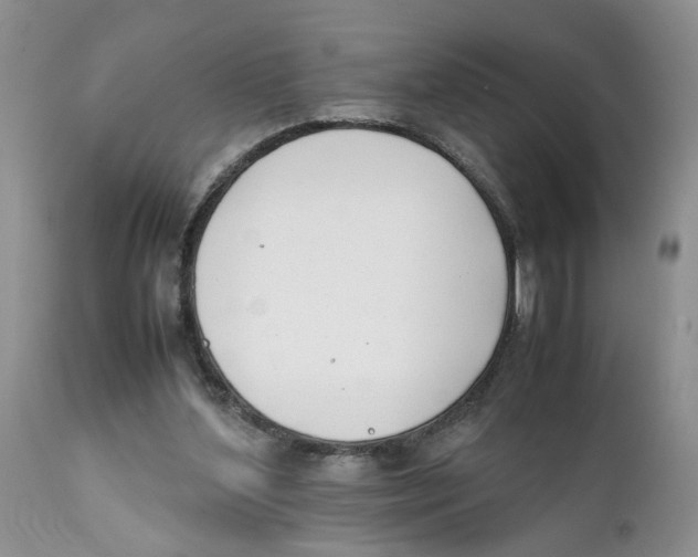 X0000111630204200908141351