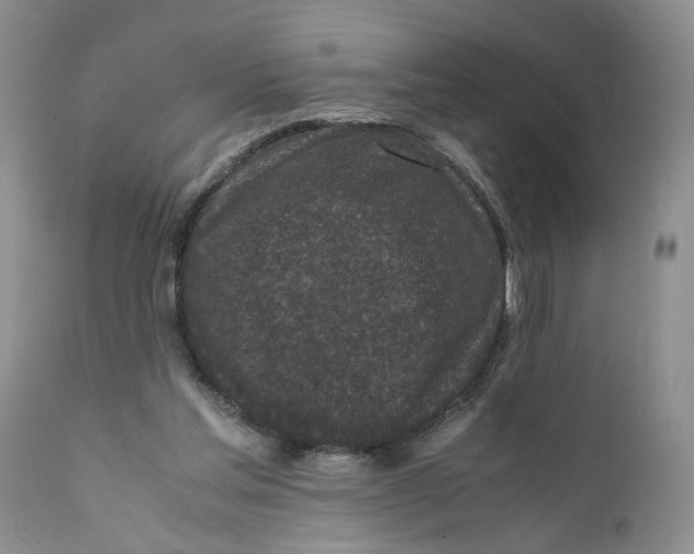 X0000111630205200908141351