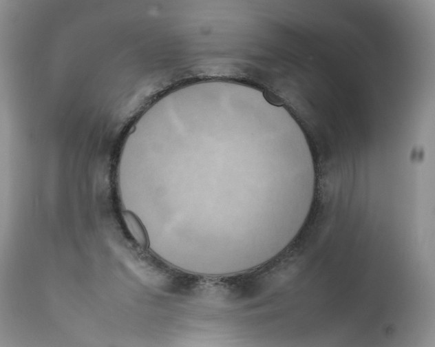 X0000111630207200908141351