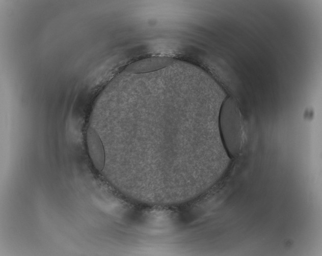 X0000111630209200908141351
