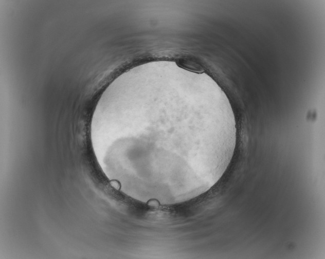 X0000111630211200908141351
