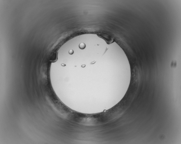 X0000111630212200908141351