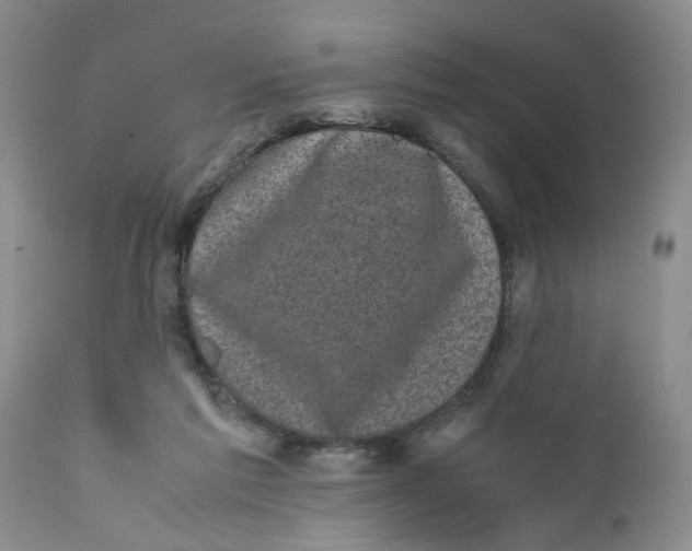 X0000111630213200908141351
