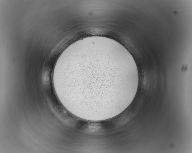 X0000111630214200908141351