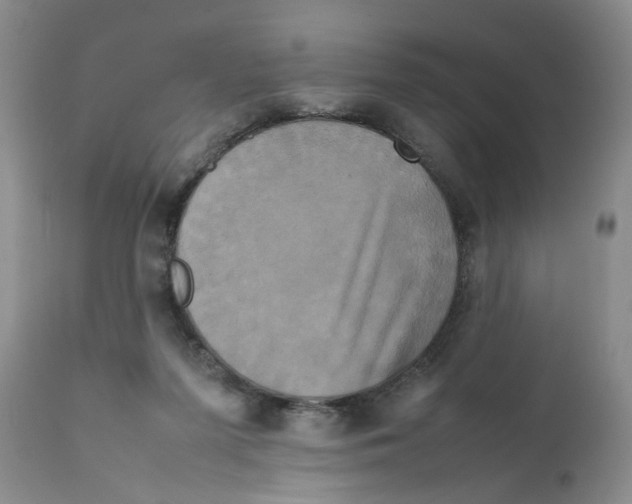 X0000111630215200908141351
