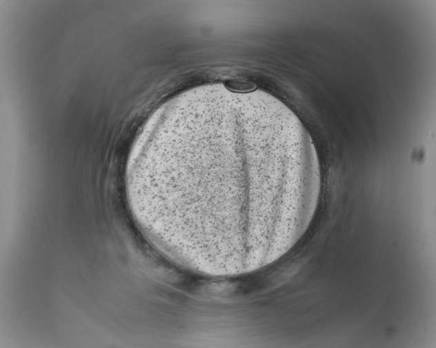 X0000111630217200908141351
