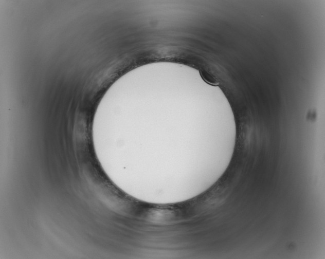 X0000111630220200908141351
