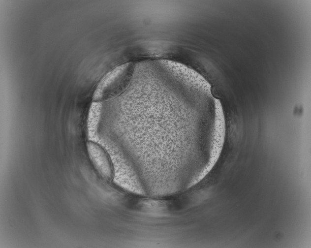 X0000111630221200908141351