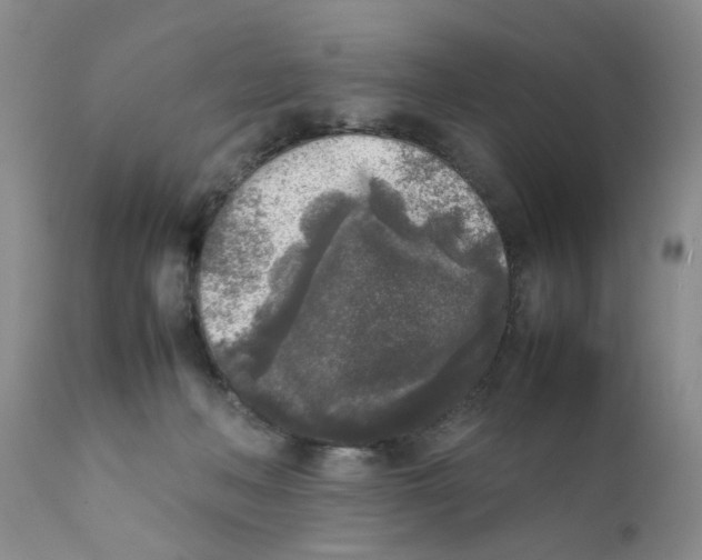 X0000111630222200908141351