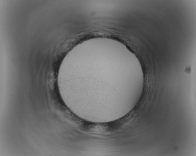 X0000111630223200908141351