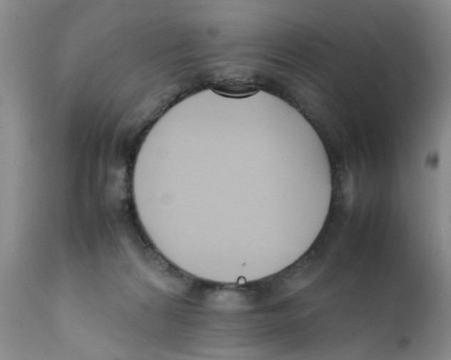 X0000111630224200908141351