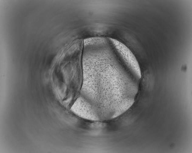 X0000111630225200908141351