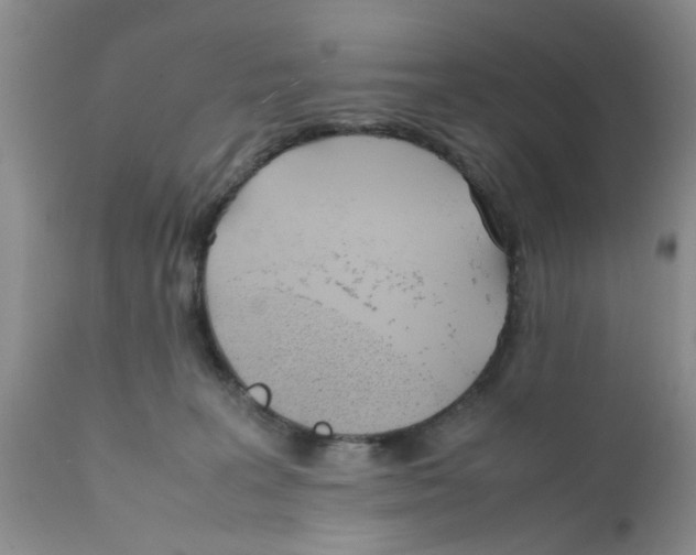 X0000111630227200908141351