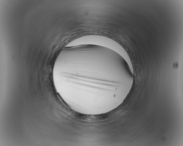 X0000111630229200908141351