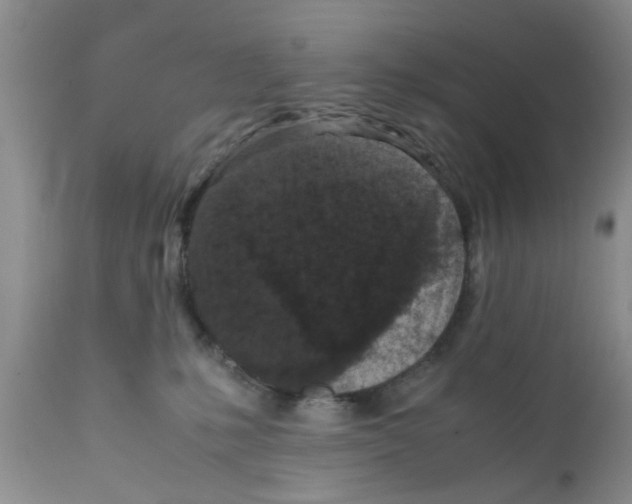 X0000111630231200908141351