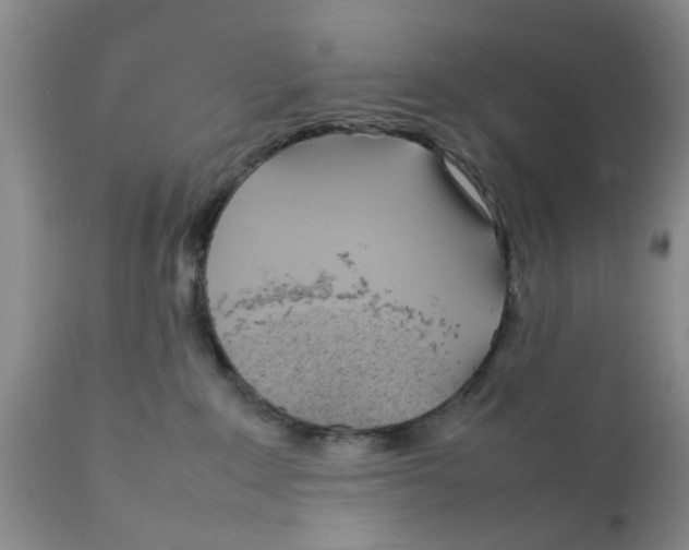 X0000111630235200908141351