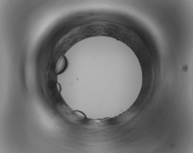 X0000111630239200908141351