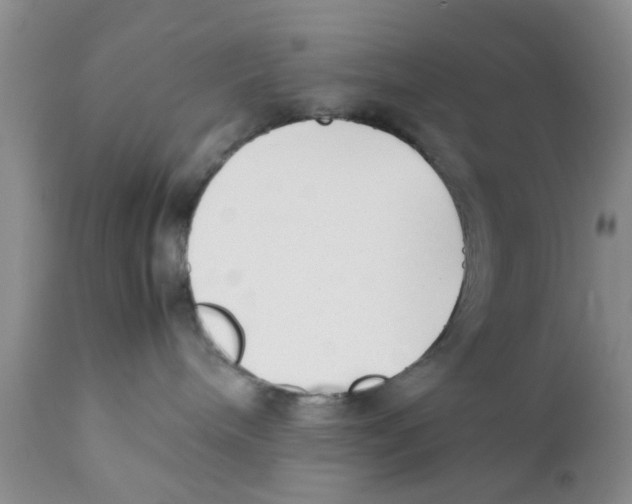 X0000111630240200908141351
