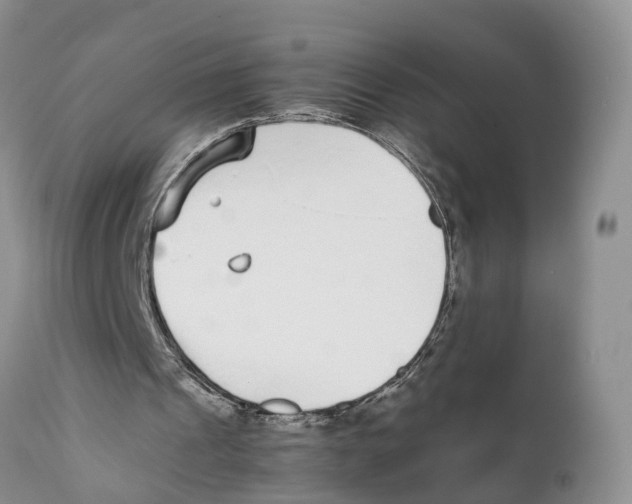 X0000111630241200908141350