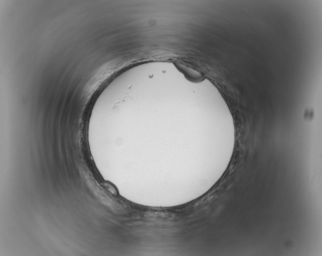 X0000111630242200908141350