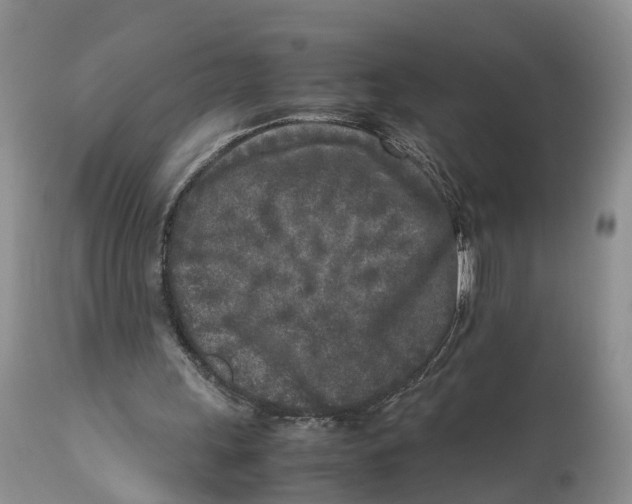 X0000111630243200908141350