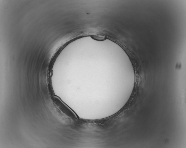 X0000111630244200908141350