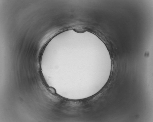 X0000111630245200908141350