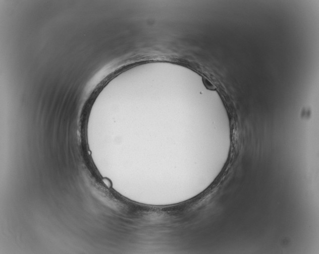 X0000111630246200908141350
