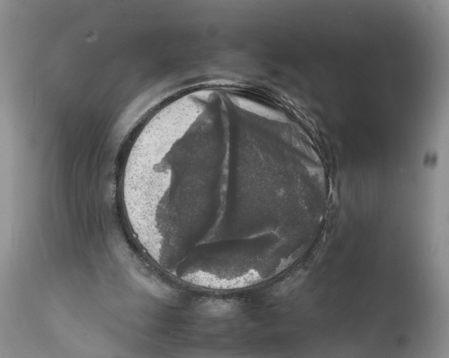X0000111630247200908141350