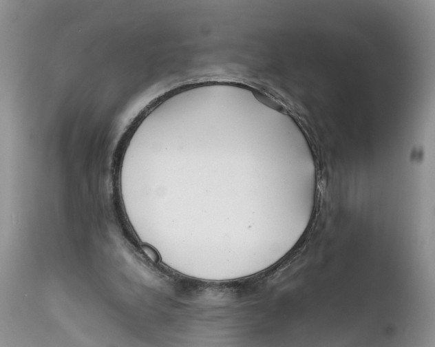 X0000111630248200908141350