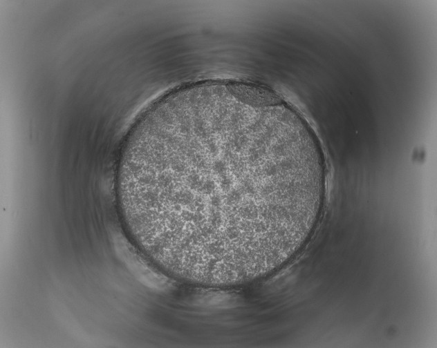 X0000111630249200908141350