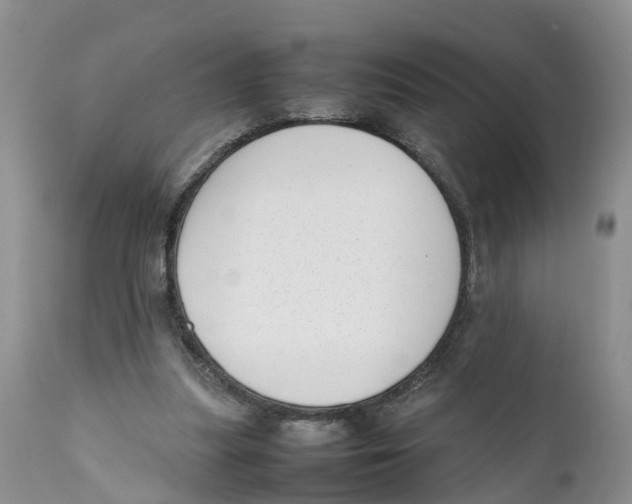 X0000111630251200908141350