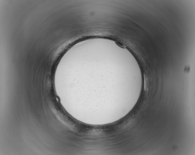 X0000111630252200908141350