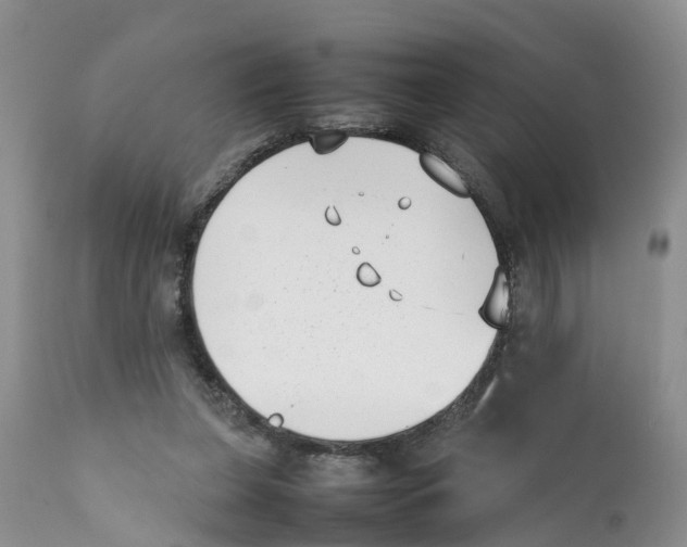 X0000111630255200908141350