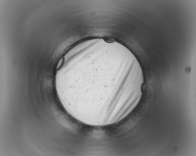 X0000111630256200908141350