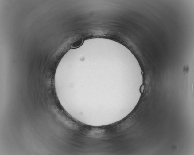 X0000111630257200908141350