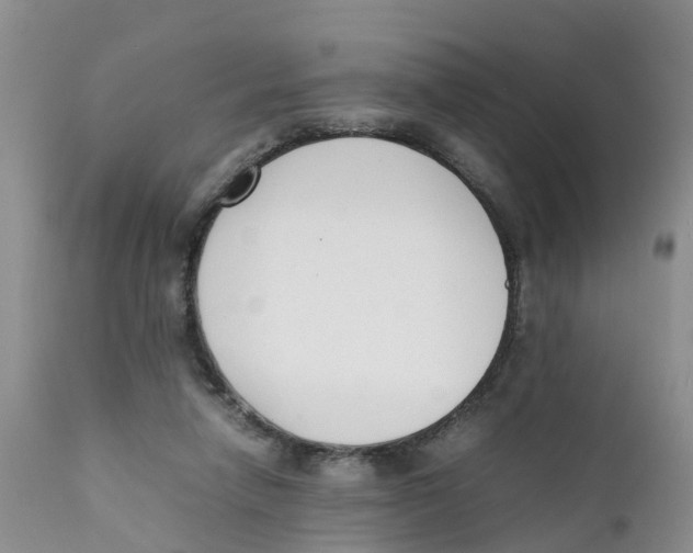 X0000111630258200908141350