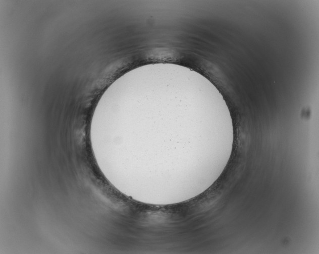 X0000111630259200908141350