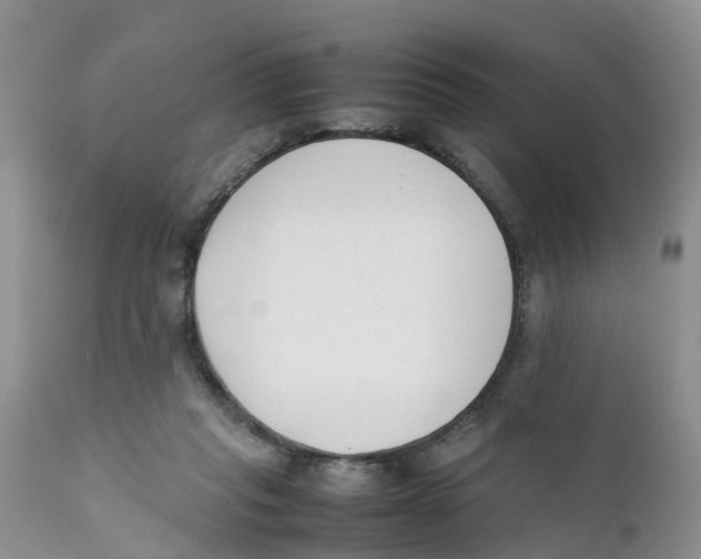 X0000111630261200908141350