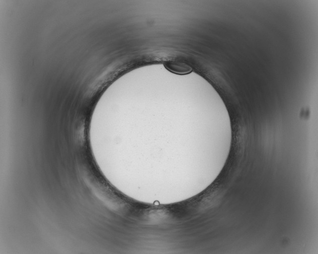 X0000111630262200908141350