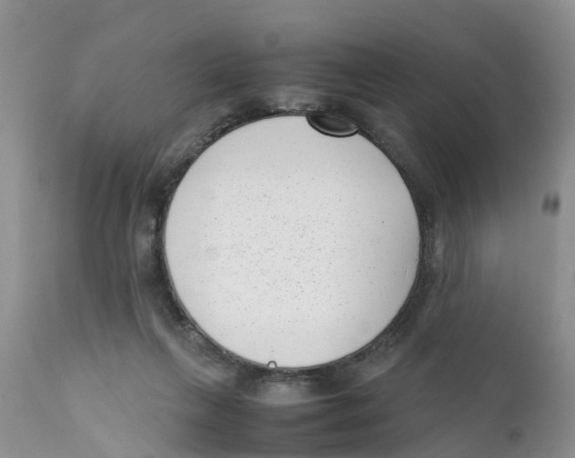 X0000111630263200908141350